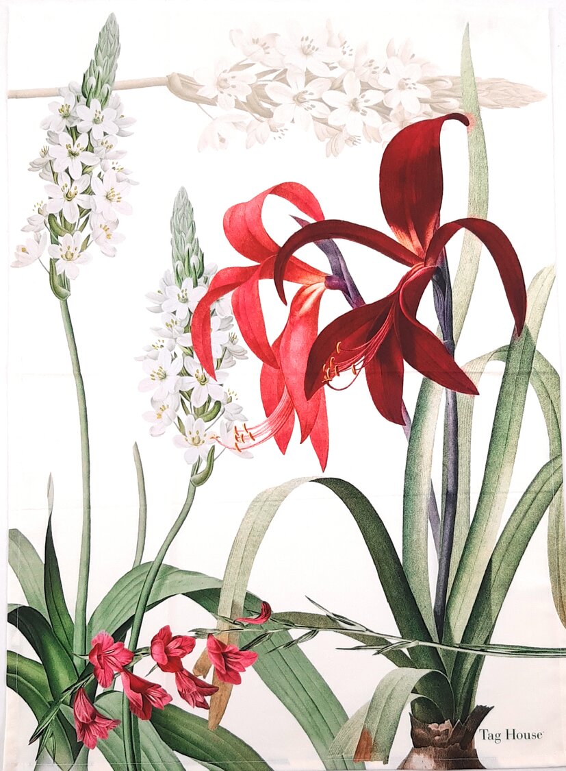 Strofinaccio cucina Amaryllis A