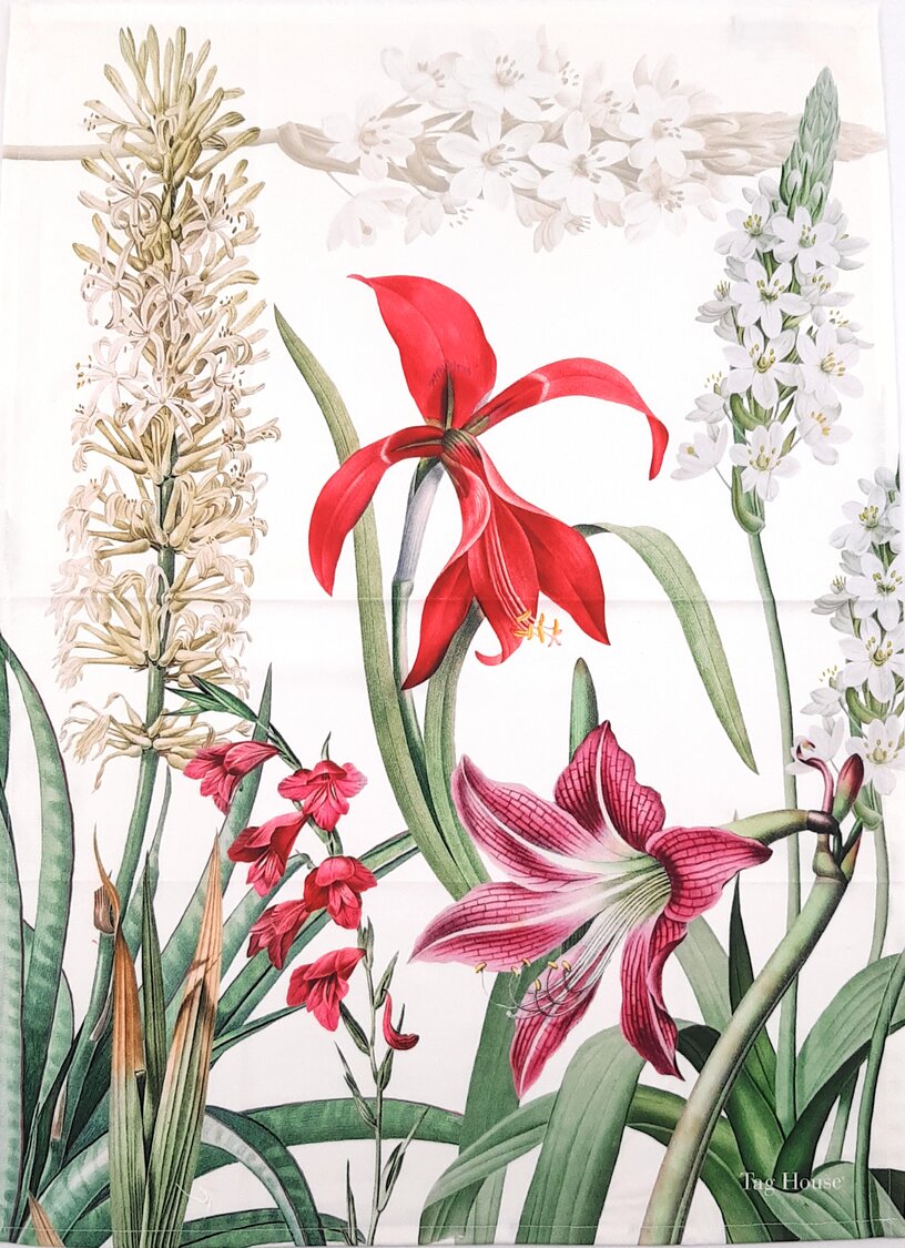 Strofinaccio cucina Amaryllis B